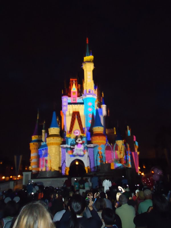 The Reeves Cinderella's Royal Table & Fireworks