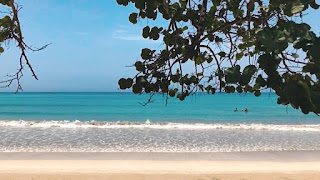 Dow Theory Update for July 6th: Setup for primary bear market completed for SIL and GDX 1 beach%2BDow%2BTheory2