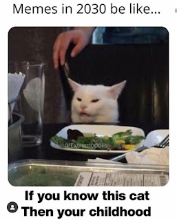Smudge the Cat Meme by @epicmemeon on Instagram