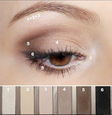 Luxury Makeup - (5 Step To Create light brown  Eyeshadow Look)