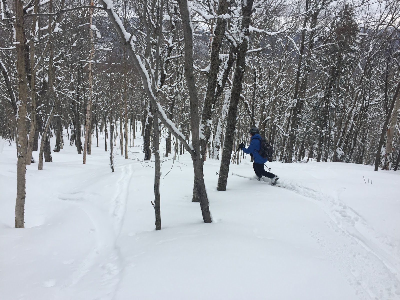 Skiglisse Le lièvre et la tortue du lac Lézard