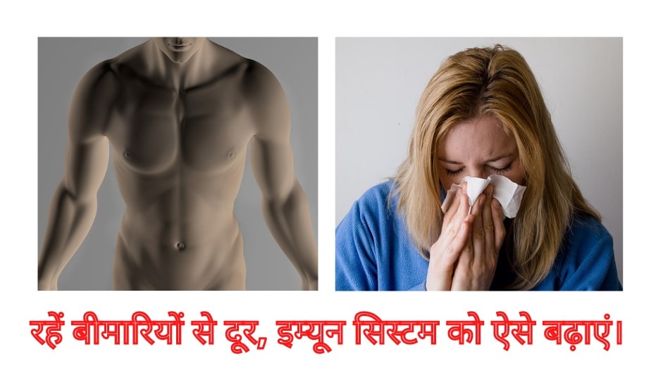 Tips to improve immune system to be safe from Sickness Tips to improve immune system to be safe from Sickness