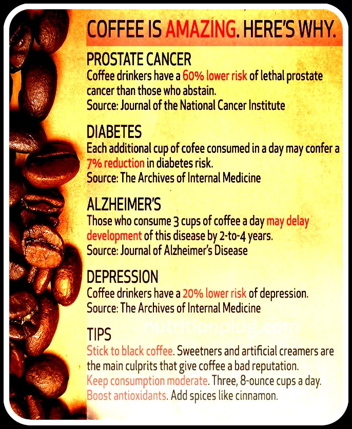 Kopi Luwak , Wild Civets Coffee From Gayo Mountain Sumatra Kopi