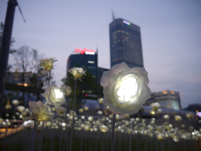 2015,summer 於是我就在韓國了 Day11