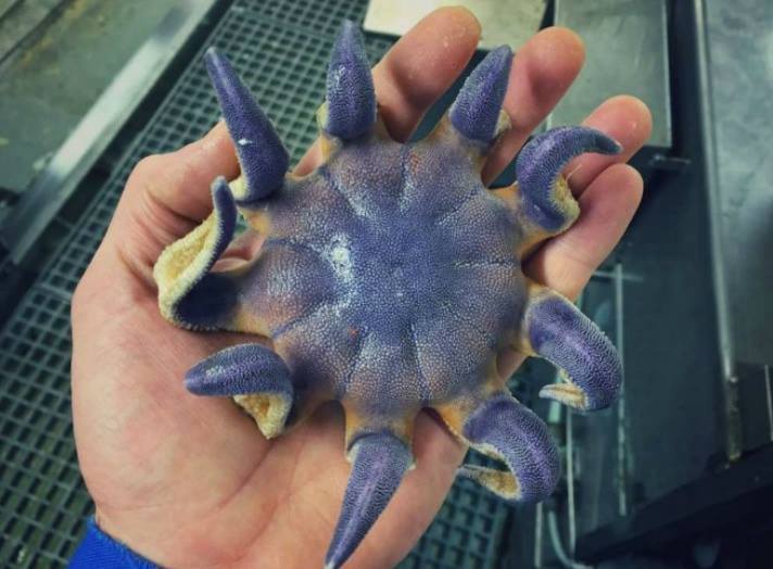 재미있는 이야기