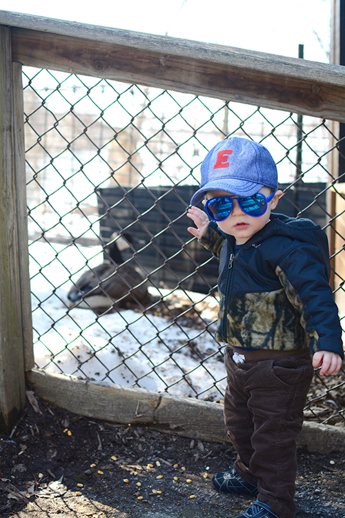 Bay Beach Wildlife Sanctuary, Spring 2018 | My Darling Days Bay Beach Wildlife Sanctuary, Spring 2018 | My Darling Days