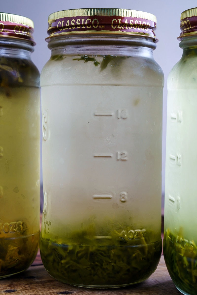 Cold Brewed Iced Tea