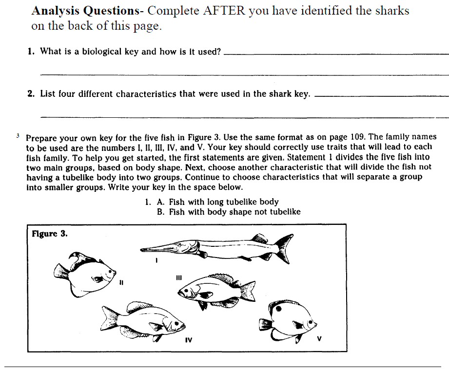 Welcome to Mrs. Strong's Biology Blog. Come on in! Learning is fun