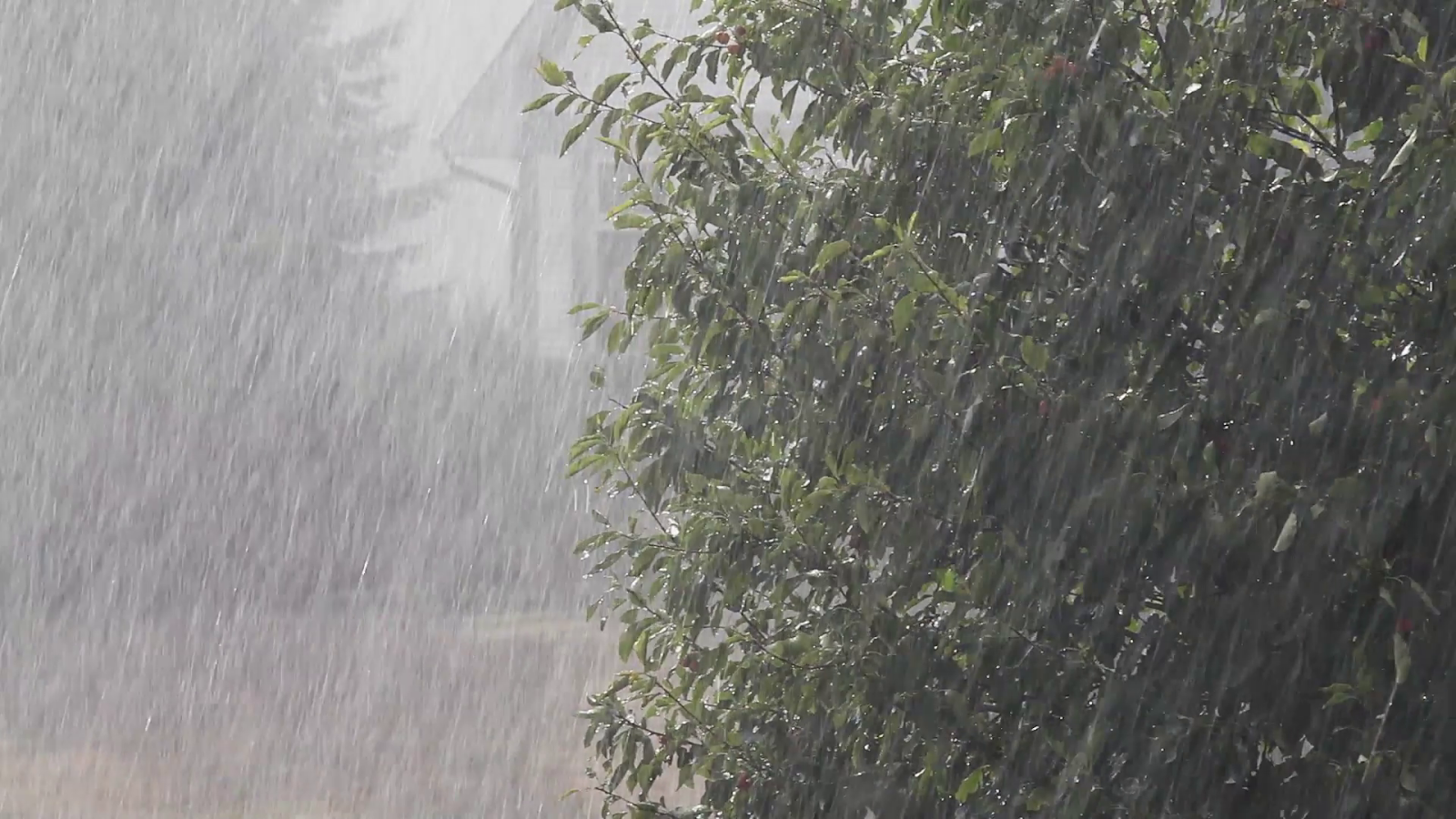 Сое дождь. Ливневые дожди. Дождь. Дождливое лето. Сое дождь.