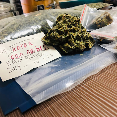 코리아캐너비스,koreacannabis,텔/위koreacannabis,코리아 캐너비스,korea cannabis, 떨판매,떨파는곳,떨구매,떨구입,떨팝니다,떨파는곳,떨삽니다,떨진품,떨느낌,떨구입방법,떨구매방법,떨판매사이트,떨가격,떨효과,떨후불제,떨부작용,떨증상,떨효능,떨팔아요,떨구하는법,떨사는법,떨사요,떨판매주소,떨구입주소,떨선드랍,떨1g,떨종류,떨구매주소,떨구합니다,떨후기,떨사는곳,떨직구,떨샘플,떨당일드랍,떨정품구입,떨정품구매,떨정품판매,정품떨구입,정품떨구매,정품떨판매,떨판매하는곳,떨구입하는곳,떨구매하는곳,떨종류,떨구입, 작대기판매,작대기파는곳,작대기구매,작대기구입,작대기팝니다,작대기파는곳,작대기삽니다,작대기진품,작대기느낌,작대기구입방법,작대기구매방법,작대기판매사이트,작대기가격,작대기효과,작대기후불제,작대기부작용,작대기증상,작대기효능,작대기팔아요,작대기구하는법,작대기사는법,작대기사요,작대기판매주소,작대기구입주소,작대기선드랍,작대기1g,작대기종류,작대기구매주소,작대기구합니다,작대기후기,작대기사는곳,작대기직구,작대기샘플,작대기당일드랍,작대기정품구입,작대기정품구매,작대기정품판매,정품작대기구입,정품작대기구매,정품작대기판매,작대기판매하는곳,작대기구입하는곳,작대기구매하는곳,작대기종류,작대기구입, 대마초판매,대마초파는곳,대마초구매,대마초구입,대마초팝니다,대마초파는곳,대마초삽니다,대마초진품,대마초느낌,대마초구입방법,대마초구매방법,대마초판매사이트,대마초가격,대마초효과,대마초후불제,대마초부작용,대마초증상,대마초효능,대마초팔아요,대마초구하는법,대마초사는법,대마초사요,대마초판매주소,대마초구입주소,대마초선드랍,대마초1g,대마초종류,대마초구매주소,대마초구합니다,대마초후기,대마초사는곳,대마초직구,대마초샘플,대마초당일드랍,대마초정품구입,대마초정품구매,대마초정품판매,정품대마초구입,정품대마초구매,정품대마초판매,대마초판매하는곳,대마초구입하는곳,대마초구매하는곳,대마초종류,대마초구입, 아이스작대기판매,아이스작대기파는곳,아이스작대기구매,아이스작대기구입,아이스작대기팝니다,아이스작대기파는곳,아이스작대기삽니다,아이스작대기진품,아이스작대기느낌,아이스작대기구입방법,아이스작대기구매방법,아이스작대기판매사이트,아이스작대기가격,아이스작대기효과,아이스작대기후불제,아이스작대기부작용,아이스작대기증상,아이스작대기효능,아이스작대기팔아요,아이스작대기구하는법,아이스작대기사는법,아이스작대기사요,아이스작대기판매주소,아이스작대기구입주소,아이스작대기선드랍,아이스작대기1g,아이스작대기종류,아이스작대기구매주소,아이스작대기구합니다,아이스작대기후기,아이스작대기사는곳,아이스작대기직구,아이스작대기샘플,아이스작대기당일드랍,아이스작대기정품구입,아이스작대기정품구매,아이스작대기정품판매,정품아이스작대기구입,정품아이스작대기구매,정품아이스작대기판매,아이스작대기판매하는곳,아이스작대기구입하는곳,아이스작대기구매하는곳,아이스작대기종류,아이스작대기구입, 엑스터시판매,엑스터시파는곳,엑스터시구매,엑스터시구입,엑스터시팝니다,엑스터시파는곳,엑스터시삽니다,엑스터시진품,엑스터시느낌,엑스터시구입방법,엑스터시구매방법,엑스터시판매사이트,엑스터시가격,엑스터시효과,엑스터시후불제,엑스터시부작용,엑스터시증상,엑스터시효능,엑스터시.팔아요,엑스터시구하는법,엑스터시사는법,엑스터시사요,엑스터시판매주소,엑스터시구입주소,엑스터시선드랍,엑스터시1g,엑스터시종류,엑스터시구매주소,엑스터시구합니다,엑스터시후기,엑스터시사는곳,엑스터시직구,엑스터시샘플,엑스터시당일드랍,엑스터시정품구입,엑스터시정품구매,엑스터시정품판매,정품엑스터시구입,정품엑스터시구매,정품엑스터시판매,엑스터시판매하는곳,엑스터시구입하는곳,엑스터시구매하는곳,엑스터시종류,엑스터시구입, 한국떨판매,한국떨파는곳,한국떨구매,한국떨구입,한국떨팝니다,한국떨파는곳,한국떨삽니다,한국떨진품,한국떨느낌,한국떨구입방법,한국떨구매방법,한국떨판매사이트,한국떨가격,한국떨효과,한국떨후불제,한국떨부작용,한국떨증상,한국떨효능,한국떨팔아요,한국떨구하는법,한국떨사는법,한국떨사요,한국떨판매주소,한국떨구입주소,한국떨선드랍,한국떨1g,한국떨종류,한국떨구매주소,한국떨구합니다,한국떨후기,한국떨사는곳,한국떨직구,한국떨샘플,한국떨당일드랍,한국떨정품구입,한국떨정품구매,한국떨정품판매,정품한국떨구입,정품한국떨구매,정품한국떨판매,한국떨판매하는곳,한국떨구입하는곳,한국떨구매하는곳,한국떨종류,한국떨구입, lsd판매,lsd파는곳,lsd구매,lsd구입,lsd팝니다,lsd파는곳,lsd삽니다,lsd진품,lsd느낌,lsd구입방법,lsd구매방법,lsd판매사이트,lsd가격,lsd효과,lsd후불제,lsd부작용,lsd증상,lsd효능,lsd팔아요,lsd구하는법,lsd사는법,lsd사요,lsd판매주소,lsd구입주소,lsd선드랍,lsd1g,lsd종류,lsd구매주소,lsd구합니다,lsd후기,lsd사는곳,lsd직구,lsd샘플,lsd당일드랍,lsd정품구입,lsd정품구매,lsd정품판매,정품lsd구입,정품lsd구매,정품lsd판매,lsd판매하는곳,lsd구입하는곳,lsd구매하는곳,lsd종류,lsd구입, 위드판매,위드파는곳,위드구매,위드구입,위드팝니다,위드파는곳,위드삽니다,위드진품,위드느낌,위드구입방법,위드구매방법,위드판매사이트,위드가격,위드효과,위드후불제,위드부작용,위드증상,위드효능,위드팔아요,위드구하는법,위드사는법,위드사요,위드판매주소,위드구입주소,위드선드랍,위드1g,위드종류,위드구매주소,위드구합니다,위드후기,위드사는곳,위드직구,위드샘플,위드당일드랍,위드정품구입,위드정품구매,위드정품판매,정품위드구입,정품위드구매,정품위드판매,위드판매하는곳,위드구입하는곳,위드구매하는곳,위드종류,위드구입, weed판매,weed파는곳,weed구매,weed구입,weed팝니다,weed파는곳,weed삽니다,weed진품,weed느낌,weed구입방법,weed구매방법,weed판매사이트,weed가격,weed효과,weed후불제,weed부작용,weed증상,weed효능,weed팔아요,weed구하는법,weed사는법,weed사요,weed판매주소,weed구입주소,weed선드랍,weed1g,weed종류,weed구매주소,weed구합니다,weed후기,weed사는곳,weed직구,weed샘플,weed당일드랍,weed정품구입,weed정품구매,weed정품판매,정품weed구입,정품weed구매,정품weed판매,weed판매하는곳,weed구입하는곳,weed구매하는곳,weed종류,weed구입, 차가운술판매,차가운술파는곳,차가운술구매,차가운술구입,차가운술팝니다,차가운술파는곳,차가운술삽니다,차가운술진품,차가운술느낌,차가운술구입방법,차가운술구매방법,차가운술판매사이트,차가운술가격,차가운술효과,차가운술후불제,차가운술부작용,차가운술증상,차가운술효능,차가운술팔아요,차가운술구하는법,차가운술사는법,차가운술사요,차가운술판매주소,차가운술구입주소,차가운술선드랍,차가운술1g,차가운술종류,차가운술구매주소,차가운술구합니다,차가운술후기,차가운술사는곳,차가운술직구,차가운술샘플,차가운술당일드랍,차가운술정품구입,차가운술정품구매,차가운술정품판매,정품차가운술구입,정품차가운술구매,정품차가운술판매,차가운술판매하는곳,차가운술구입하는곳,차가운술구매하는곳,차가운술종류,차가운술구입, 시원한술판매,시원한술파는곳,시원한술구매,시원한술구입,시원한술팝니다,시원한술파는곳,시원한술삽니다,시원한술진품,시원한술느낌,시원한술구입방법,시원한술구매방법,시원한술판매사이트,시원한술가격,시원한술효과,시원한술후불제,시원한술부작용,시원한술증상,시원한술효능,시원한술팔아요,시원한술구하는법,시원한술사는법,시원한술사요,시원한술판매주소,시원한술구입주소,시원한술선드랍,시원한술1g,시원한술종류,시원한술구매주소,시원한술구합니다,시원한술후기,시원한술사는곳,시원한술직구,시원한술샘플,시원한술당일드랍,시원한술정품구입,시원한술정품구매,시원한술정품판매,정품시원한술구입,정품시원한술구매,정품시원한술판매,시원한술판매하는곳,시원한술구입하는곳,시원한술구매하는곳,시원한술종류,시원한술구입, 엑스터시판매,엑스터시파는곳,엑스터시구매,엑스터시구입,엑스터시팝니다,엑스터시파는곳,엑스터시삽니다,엑스터시진품,엑스터시느낌,엑스터시구입방법,엑스터시구매방법,엑스터시판매사이트,엑스터시가격,엑스터시효과,엑스터시후불제,엑스터시부작용,엑스터시증상,엑스터시효능,엑스터시.팔아요,엑스터시구하는법,엑스터시사는법,엑스터시사요,엑스터시판매주소,엑스터시구입주소,엑스터시선드랍,엑스터시1g,엑스터시종류,엑스터시구매주소,엑스터시구합니다,엑스터시후기,엑스터시사는곳,엑스터시직구,엑스터시샘플,엑스터시당일드랍,엑스터시정품구입,엑스터시정품구매,엑스터시정품판매,정품엑스터시구입,정품엑스터시구매,정품엑스터시판매,엑스터시판매하는곳,엑스터시구입하는곳,엑스터시구매하는곳,엑스터시종류,엑스터시구입, 도리도리판매,도리도리파는곳,도리도리구매,도리도리구입,도리도리팝니다,도리도리파는곳,도리도리삽니다,도리도리진품,도리도리느낌,도리도리구입방법,도리도리구매방법,도리도리판매사이트,도리도리가격,도리도리효과,도리도리후불제,도리도리부작용,도리도리증상,도리도리효능,도리도리팔아요,도리도리구하는법,도리도리사는법,도리도리사요,도리도리판매주소,도리도리구입주소,도리도리선드랍,도리도리1g,도리도리종류,도리도리구매주소,도리도리구합니다,도리도리후기,도리도리사는곳,도리도리직구,도리도리샘플,도리도리당일드랍,도리도리정품구입,도리도리정품구매,도리도리정품판매,정품도리도리구입,정품도리도리구매,정품도리도리판매,도리도리판매하는곳,도리도리구입하는곳,도리도리구매하는곳,도리도리종류,도리도리구입, 쿠쉬판매,쿠쉬파는곳,쿠쉬구매,쿠쉬구입,쿠쉬팝니다,쿠쉬파는곳,쿠쉬삽니다,쿠쉬진품,쿠쉬느낌,쿠쉬구입방법,쿠쉬구매방법,쿠쉬판매사이트,쿠쉬가격,쿠쉬효과,쿠쉬후불제,쿠쉬부작용,쿠쉬증상,쿠쉬효능,쿠쉬.팔아요,쿠쉬구하는법,쿠쉬사는법,쿠쉬사요,쿠쉬판매주소,쿠쉬구입주소,쿠쉬선드랍,쿠쉬1g,쿠쉬종류,쿠쉬구매주소,쿠쉬구합니다,쿠쉬후기,쿠쉬사는곳,쿠쉬직구,쿠쉬샘플,쿠쉬당일드랍,쿠쉬정품구입,쿠쉬정품구매,쿠쉬정품판매,정품쿠쉬구입,정품쿠쉬구매,정품쿠쉬판매,쿠쉬판매하는곳,쿠쉬구입하는곳,쿠쉬구매하는곳,쿠쉬종류,쿠쉬구입, 인디카판매,인디카파는곳,인디카구매,인디카구입,인디카팝니다,인디카파는곳,인디카삽니다,인디카진품,인디카느낌,인디카구입방법,인디카구매방법,인디카판매사이트,인디카가격,인디카효과,인디카후불제,인디카부작용,인디카증상,인디카효능,인디카팔아요,인디카구하는법,인디카사는법,인디카사요,인디카판매주소,인디카구입주소,인디카선드랍,인디카1g,인디카종류,인디카구매주소,인디카구합니다,인디카후기,인디카사는곳,인디카직구,인디카샘플,인디카당일드랍,인디카정품구입,인디카정품구매,인디카정품판매,정품인디카구입,정품인디카구매,정품인디카판매,인디카판매하는곳,인디카구입하는곳,인디카구매하는곳,인디카종류,인디카구입,