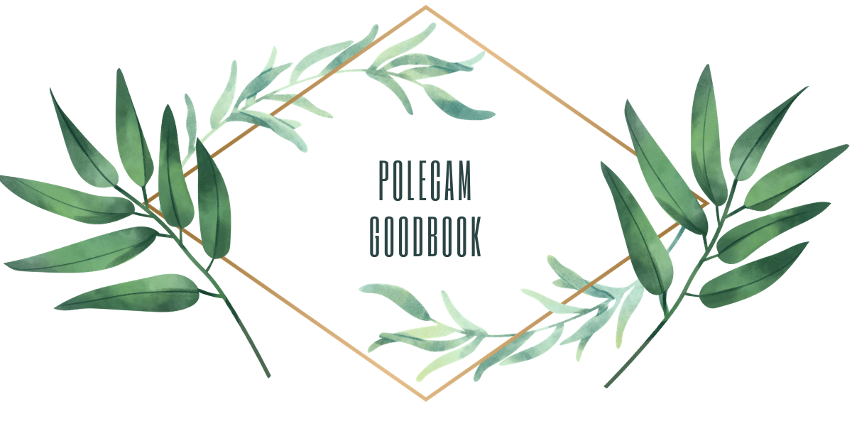 Polecam Goodbook