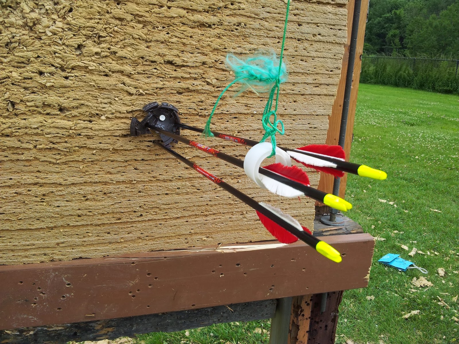 Cardio Trek - Toronto Personal Trainer: Arrow Clustering at Work