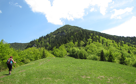 Przed nami Príslop pod Suchým (1202 m n.p.m.), za nim piętrzy się Suchý. Przed nami Príslop pod Suchým (1202 m n.p.m.), za nim piętrzy się Suchý.