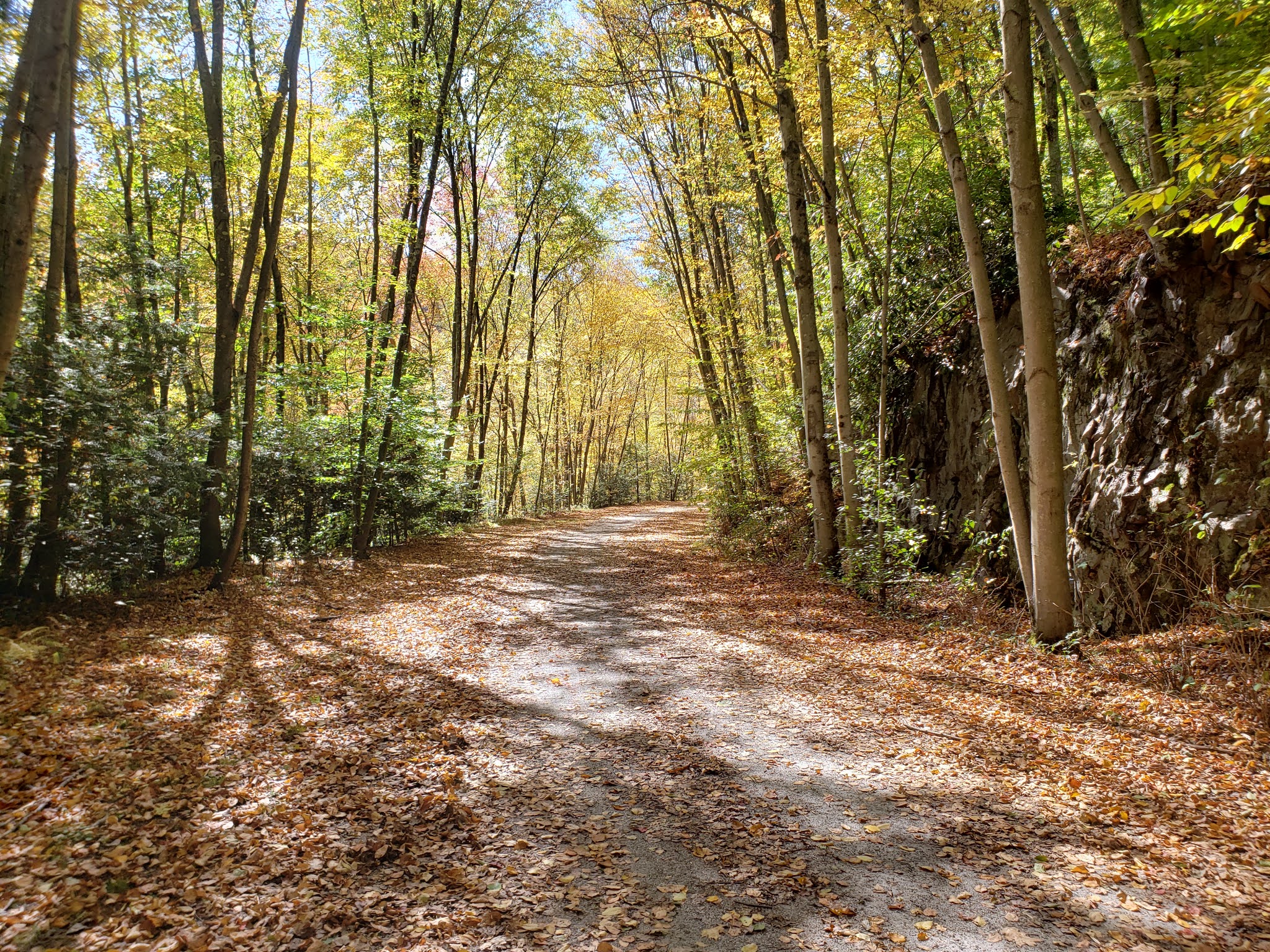 Mark's Bike Tock D&L Trail/Jim Thorpe
