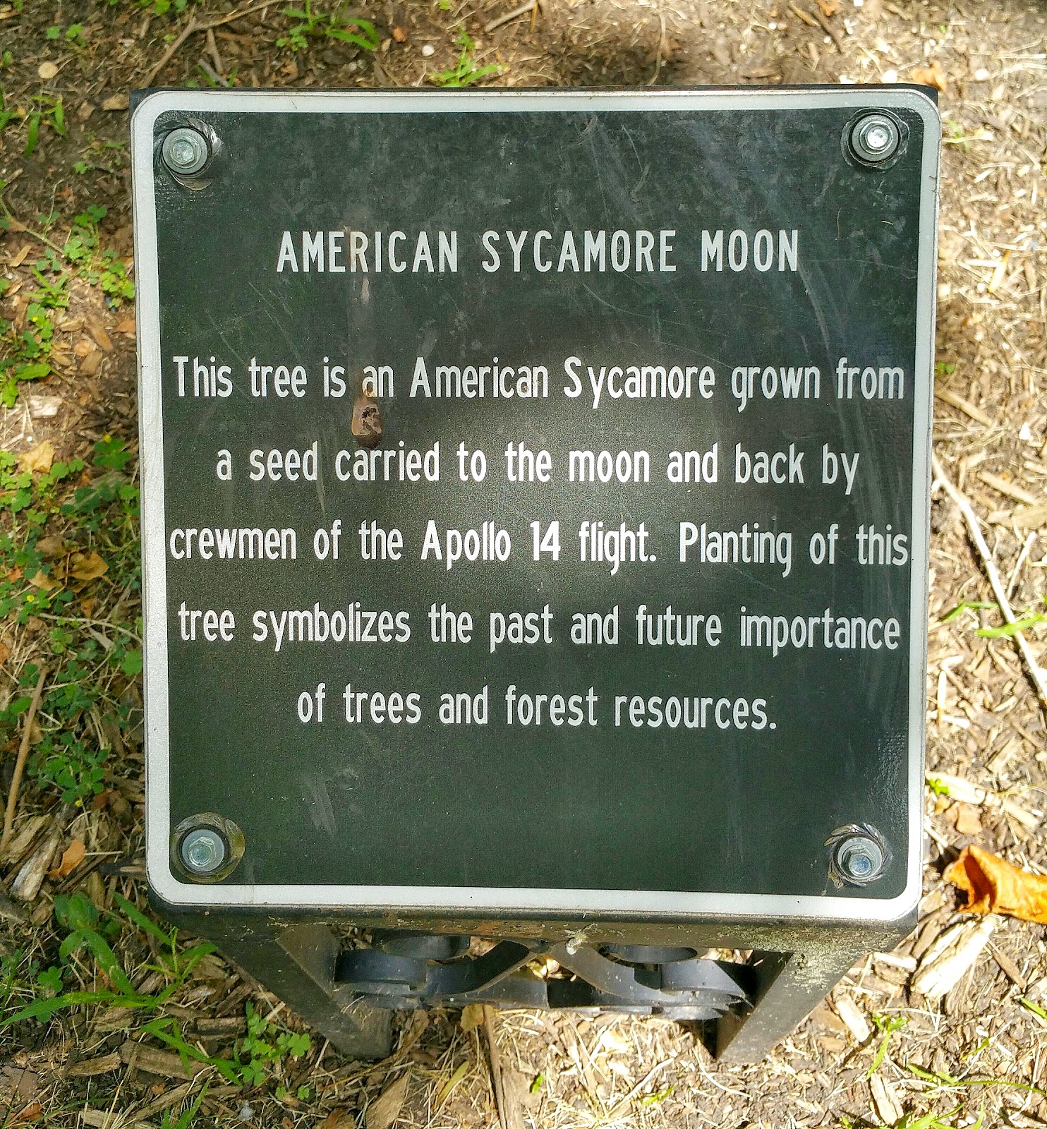History and Culture by Bicycle Storm Lake, Iowa Living Heritage Tree