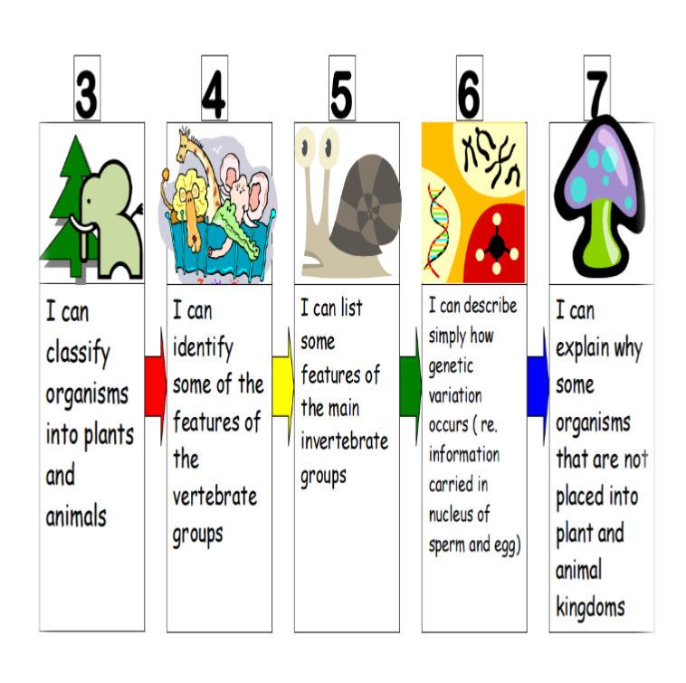 Ks3 science revision worksheets pdf picture