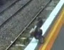 Tren Yoluna Düşen Puset, Çocuk Arabasıyla Raylara Düşen Bebek