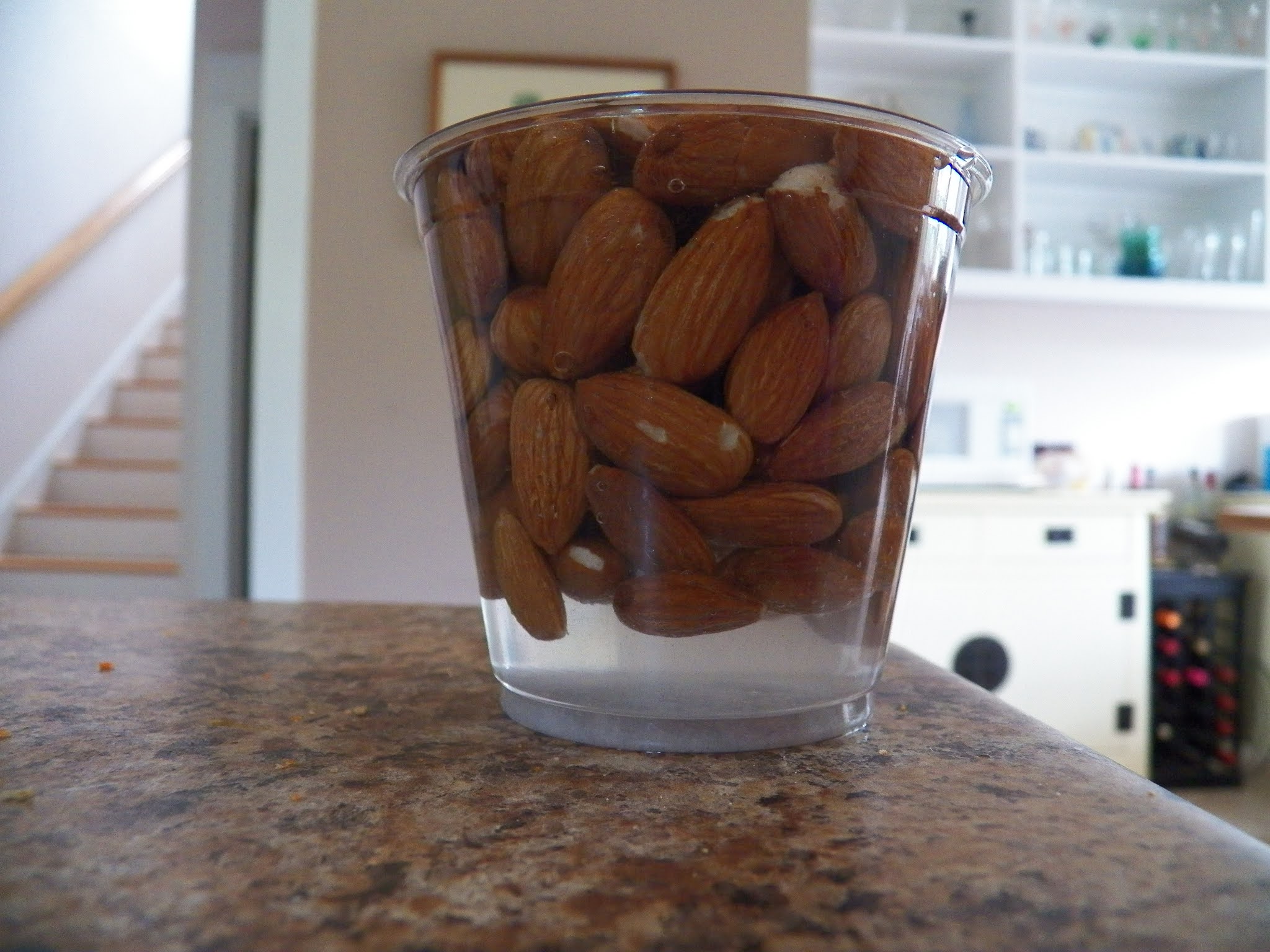 Roasted Salted Almonds in the Toaster Oven Sid's Sea Palm Cooking