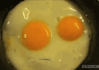 best animated gif egg