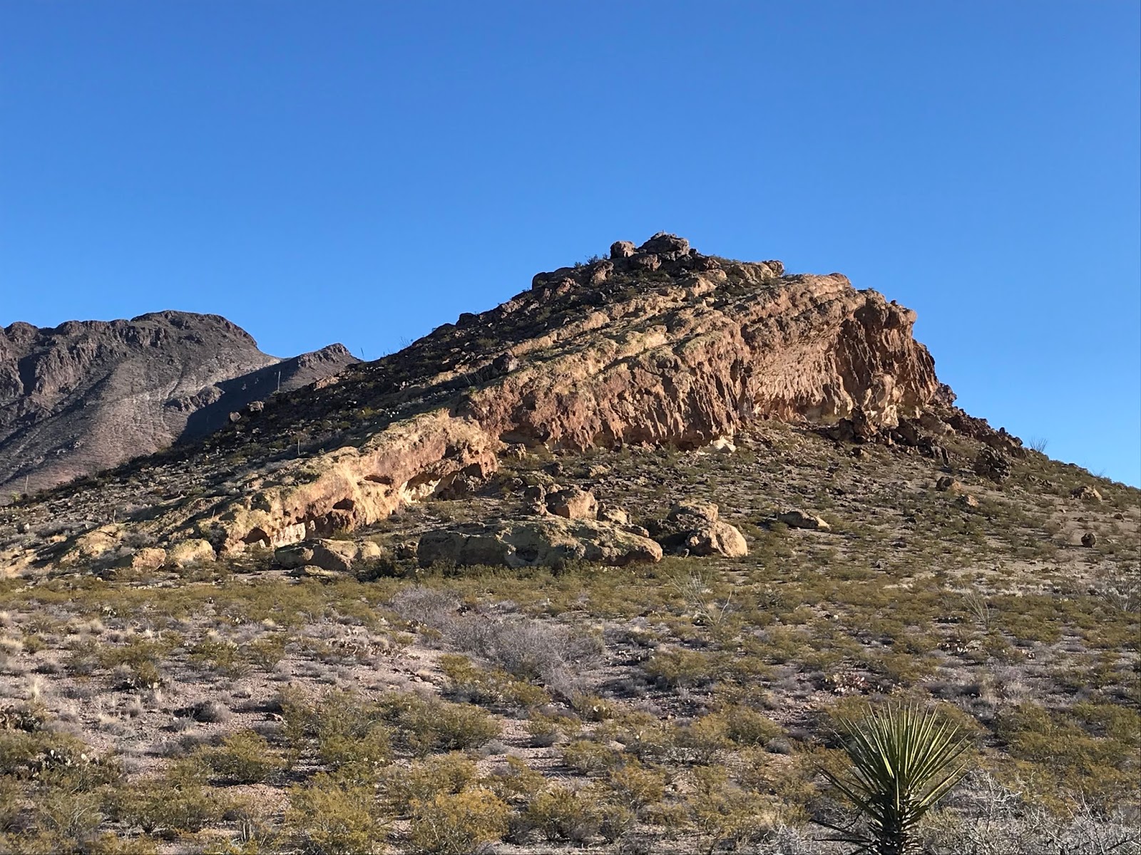 Southern New Mexico Explorer Peña Blanca Organ Mountains Wilderness