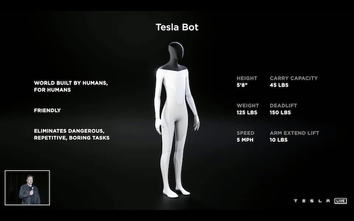 tesla-bot