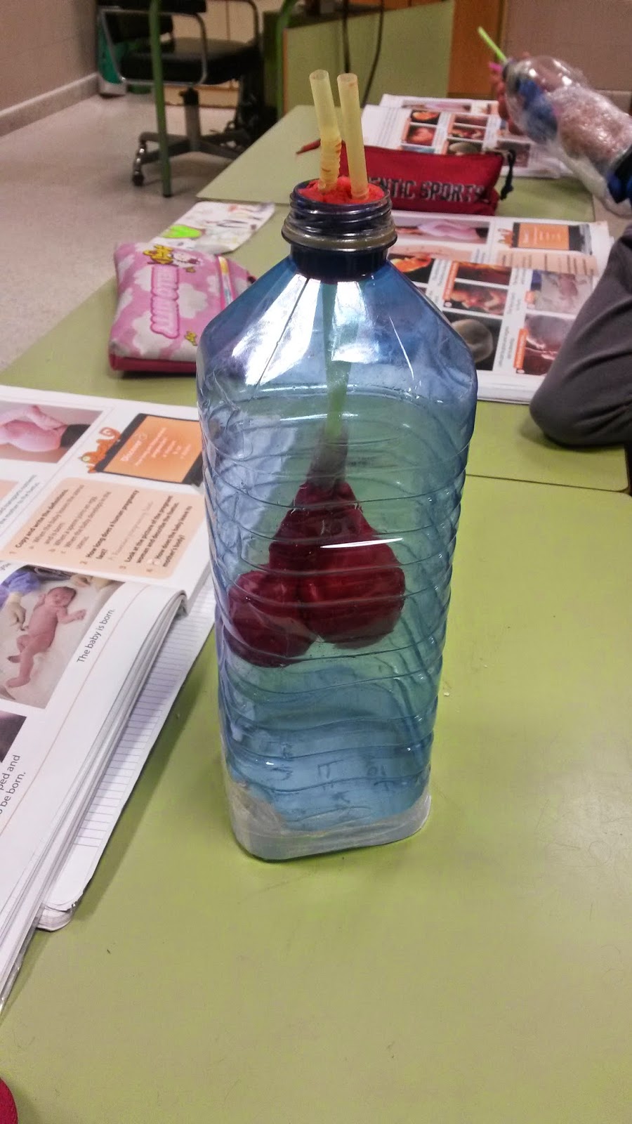 Scienceformeandyou: Experiment with the respiratory system!