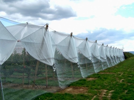 Agro textile