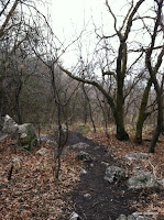 Utah Hiking: Ogden Nature Center North