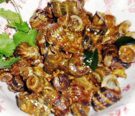 Resepi Siput Sedut Goreng Berempah