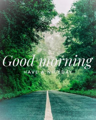 good morning images wallpaper hd good morning images wallpaper hd