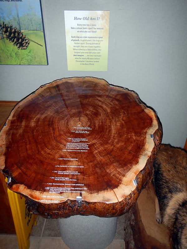 Sandcastle Momma Eglin Air Force Base's Jackson Guard