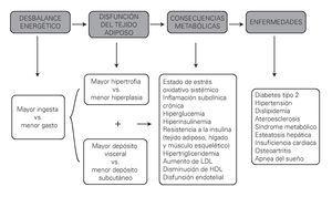 Figura 3. Mecanismos de disfunción del tejido adiposo y su repercusión metabólica (3° cuadro gris; las consecuencias metabólicas).