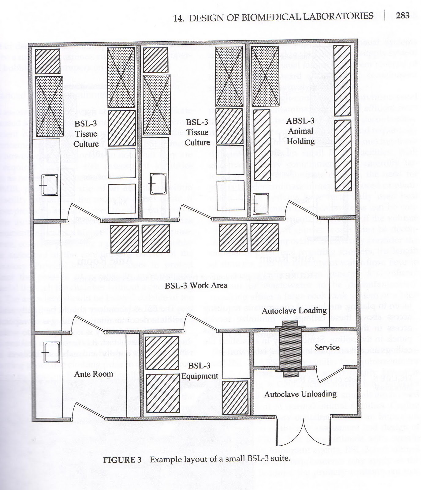 LSM PBL TK02 Scenario 1 Biosafety Laboratory (BSL) Level 3