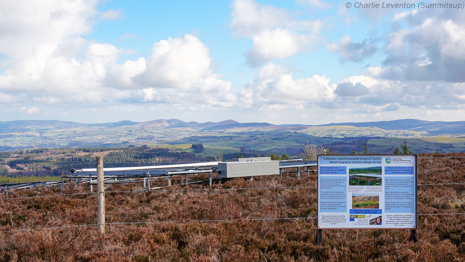 Summitsup Clocaenog Forest Heights