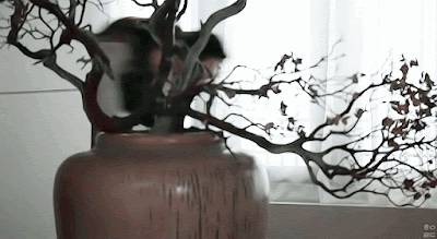 사랑하는 여자를 계획해서 다른 남자와 결혼시킨 남자.jpg | 인스티즈