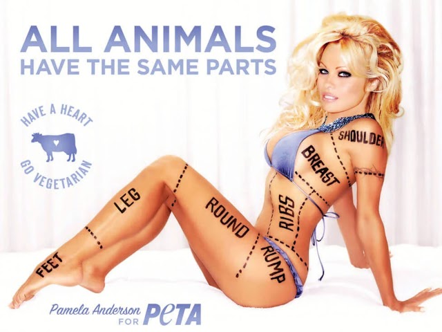 Pamela Anderson ad too racy for Hong Kong airport