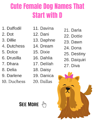 Cute Female Dog Names That Start with D