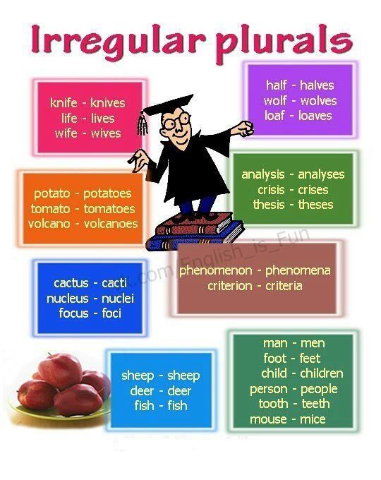 Insightintoeng.blogspot.in PLURAL NOUNS