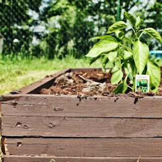 DIY raised garden beds using salvaged materials | On The Creek Blog