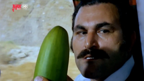 Bir Sinefil In Gunlugu