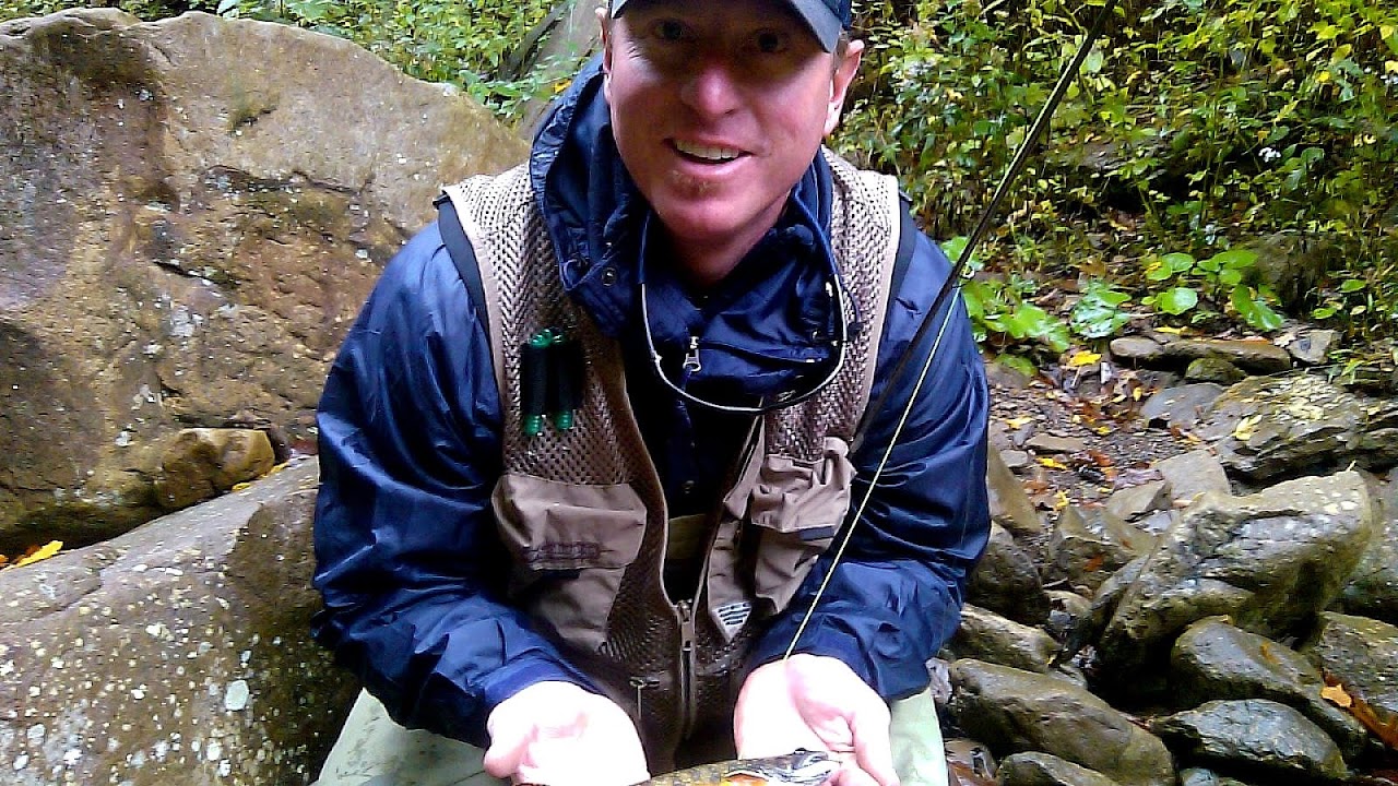 Elk River Wv Fly Fishing Fish Choices