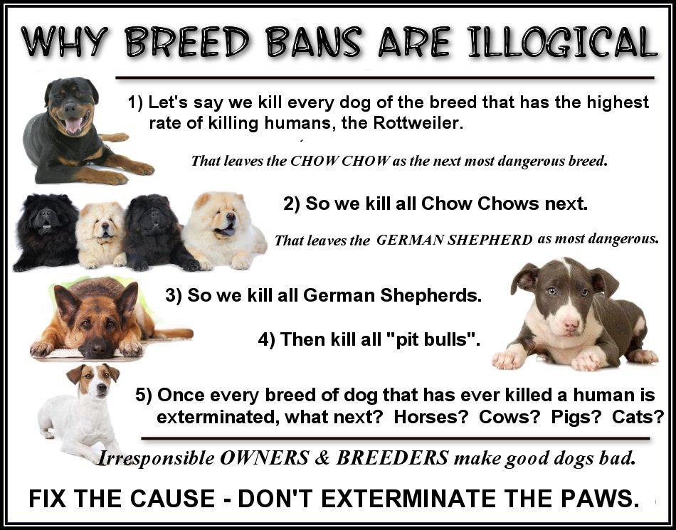 Friend My Dog Why breed Bans are illogical