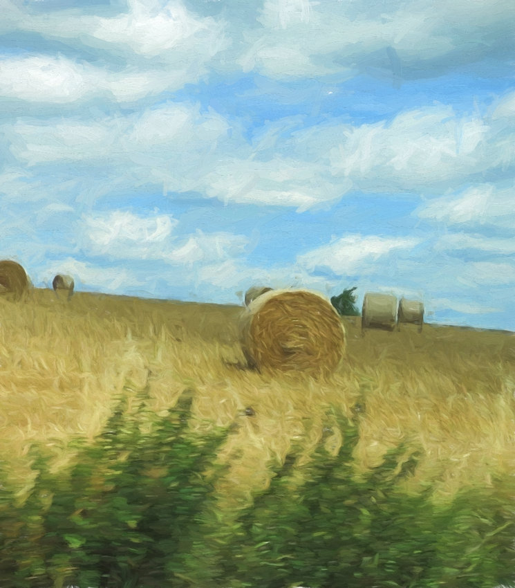 Sweet Leaf Notebook French Hay Fields Looking Out Let's Do 52