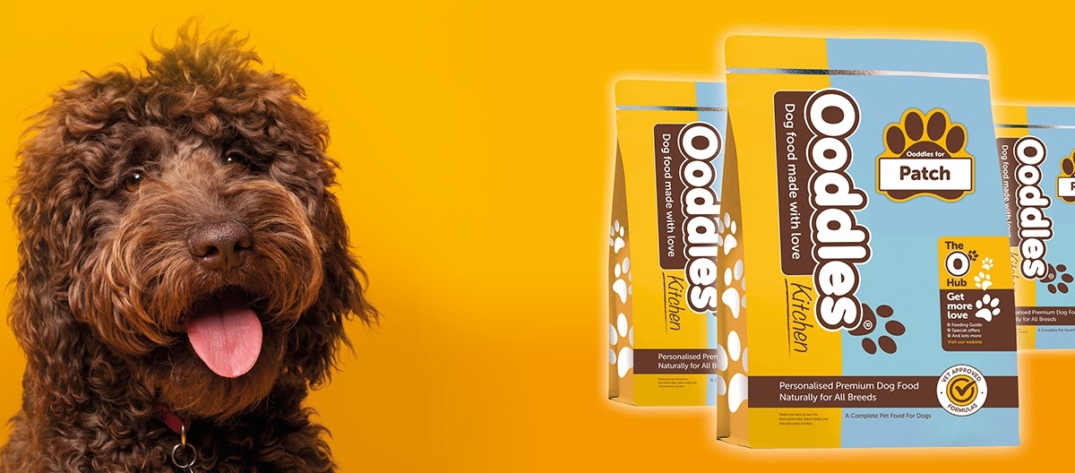 Should I Feed My Dog Dry Food or Wet Food? Ooddles Kitchen