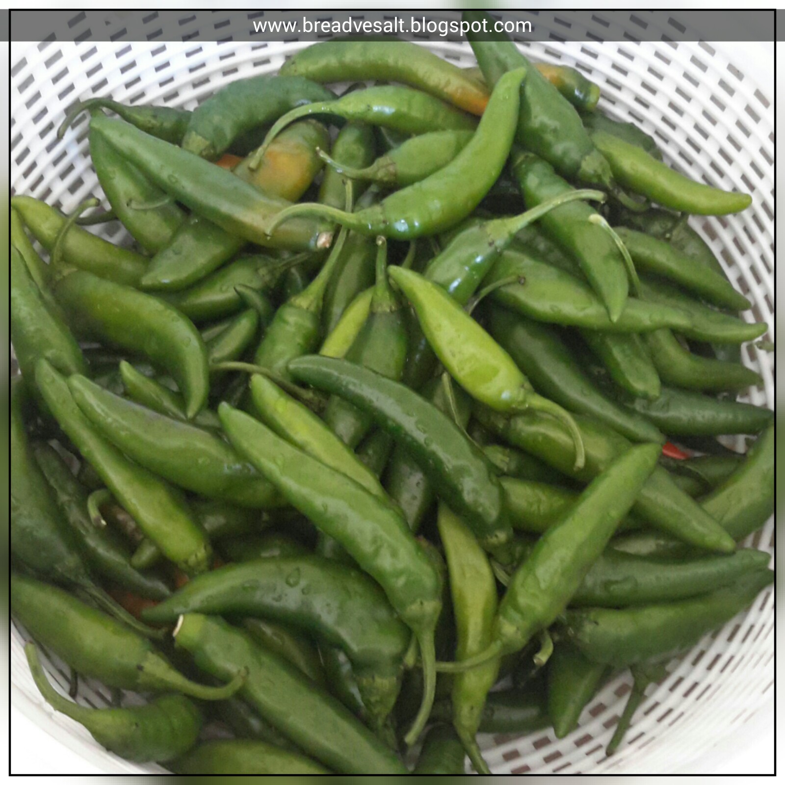 Pickled Chili Peppers