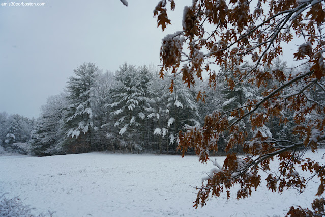 Paisajes de Invierno en New Hampshire