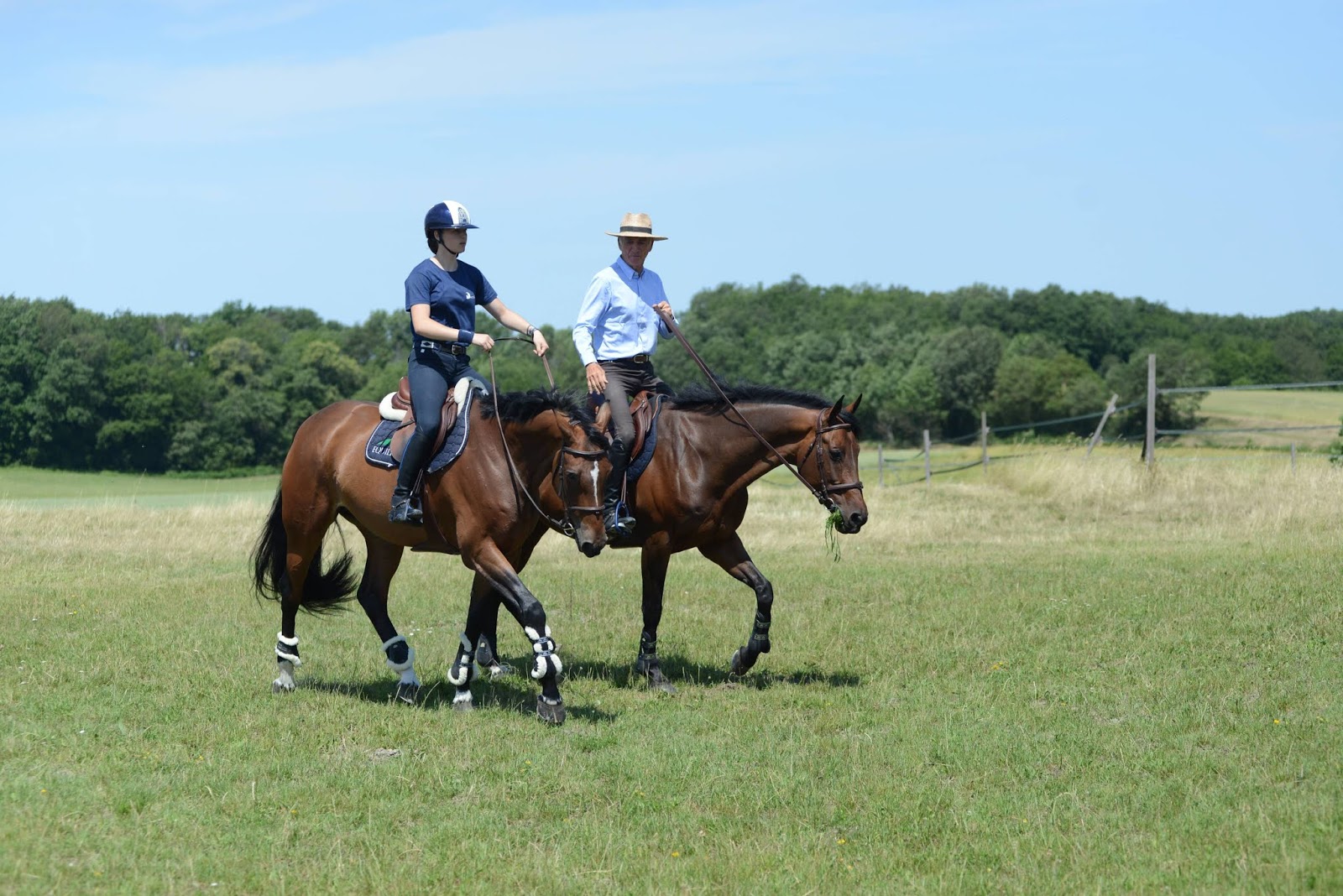 AEP Consultants Michel Robert à Fieracavalli 2019