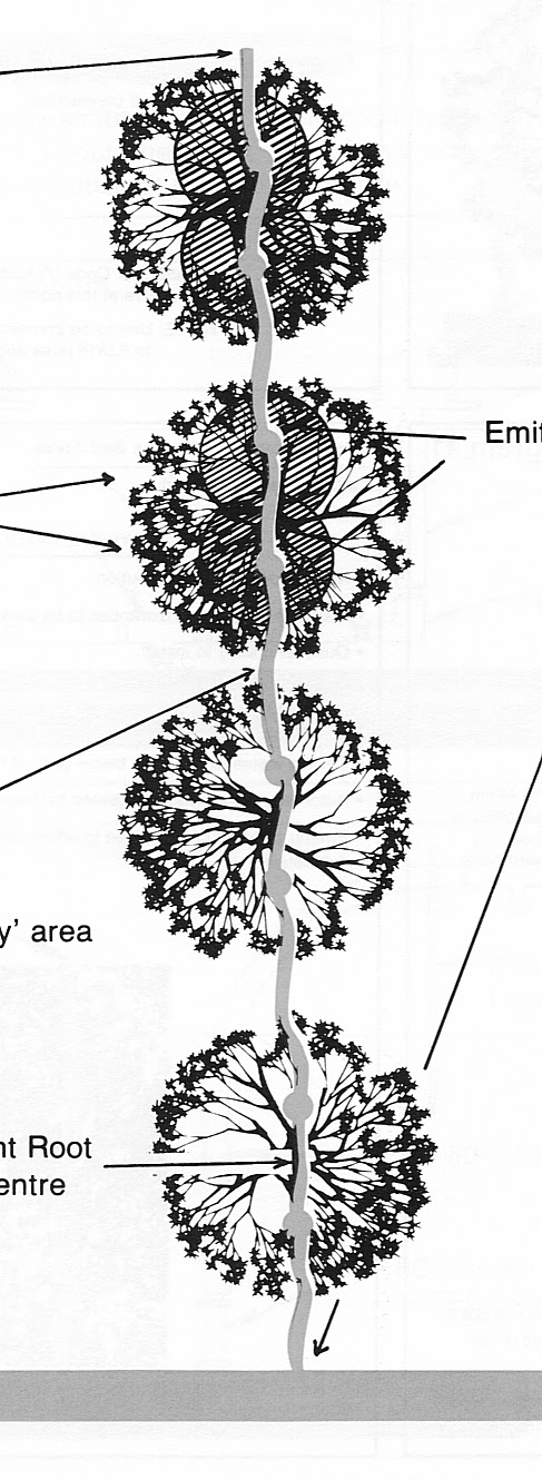 Xtremehorticulture of the Desert: How to Water Newly Planted Fruit ...