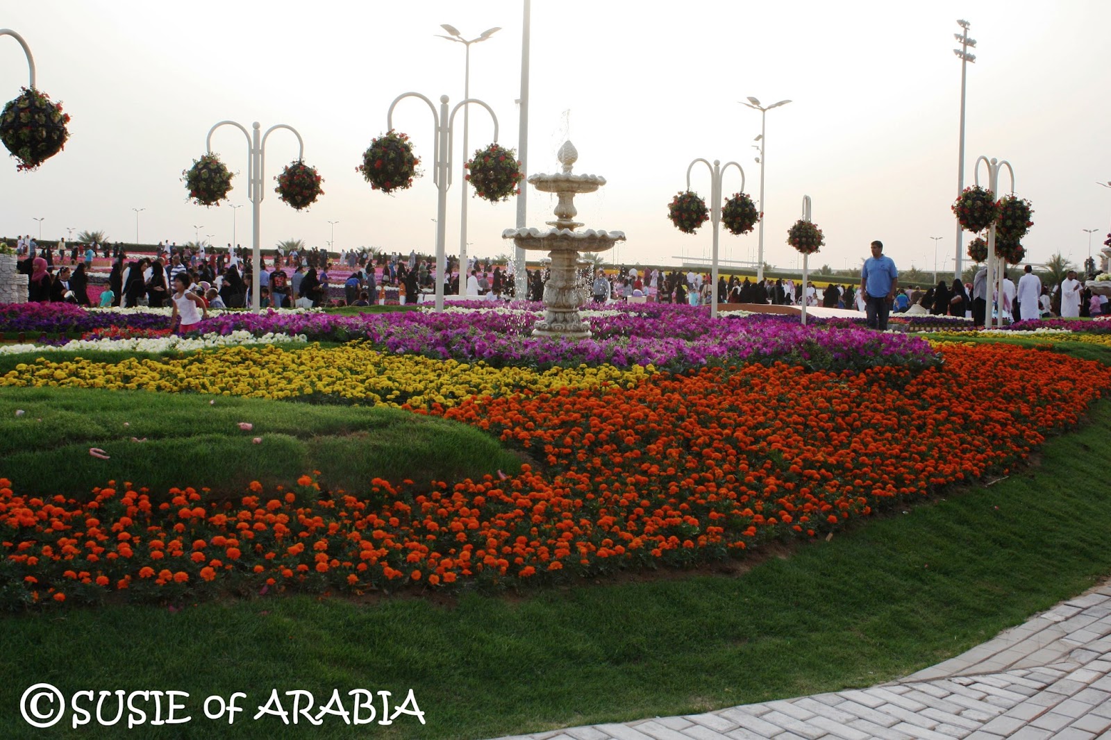 SUSIE of ARABIA Yanbu Flower Festival 2016