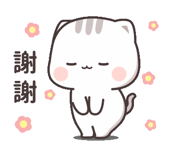 Cutie Cat-Chan 5